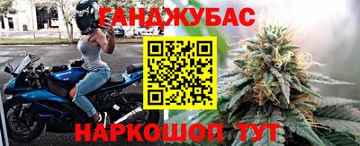 сатива Кимры