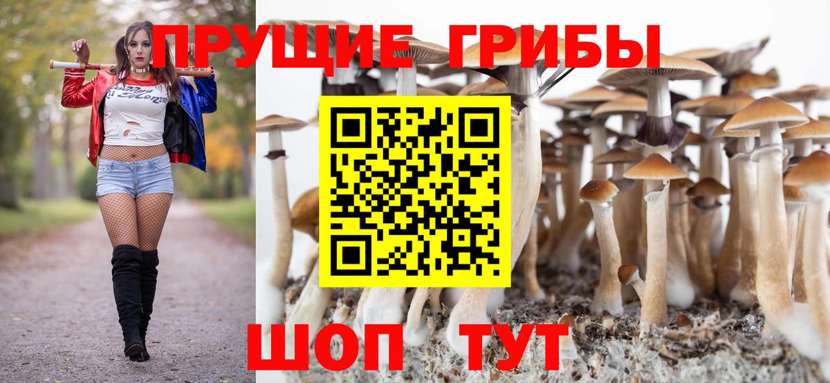 купить наркотик  Псилоцибиновые грибы Cubensis  Вход с VPN  Кузнецк 